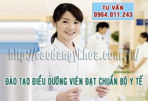 dao-tao-dieu-duong-vien-chuan-bo-y-te