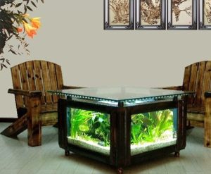 Dược sĩ hướng dẫn để đồ vật theo phong thủy