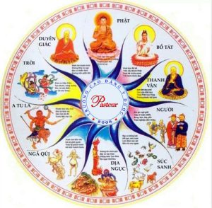 Điểm danh 4 con giáp ngành Y vốn “sinh ra đã khổ”