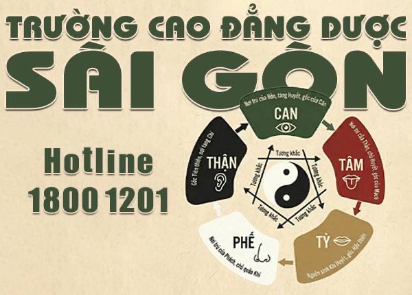 Tuyển sinh Cao đẳng Y học cổ truyền hệ chính quy Trường Cao đẳng Dược Sài Gòn