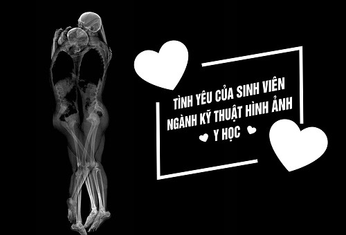 Tình yêu được giải phẫu dưới lăng kính y khoa như thế nào?