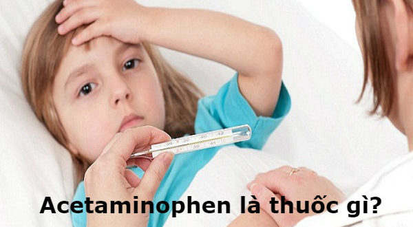 Acetaminophen là thuốc gì? 