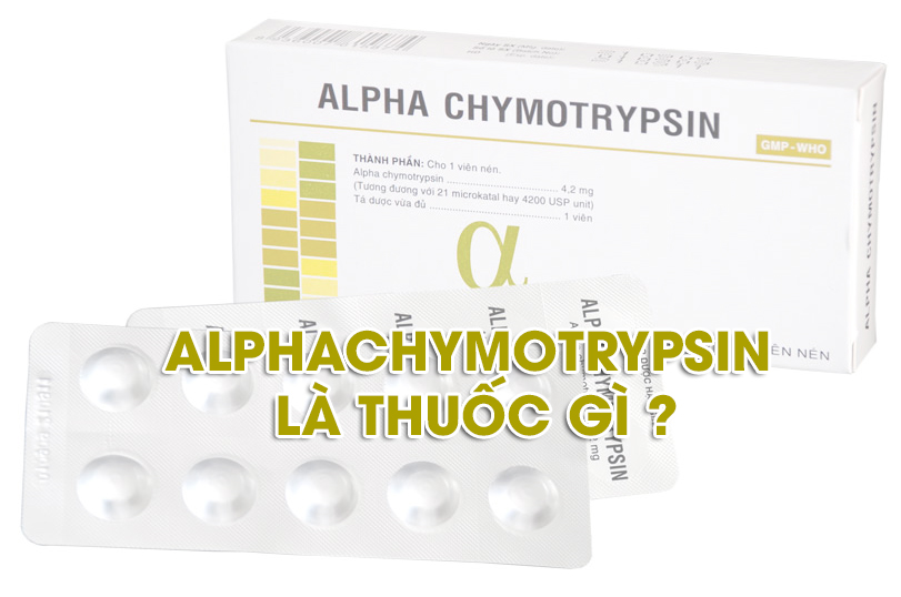 Alphachymotrypsin là thuốc gì? Dược sĩ hướng dẫn sử dụng thuốc 