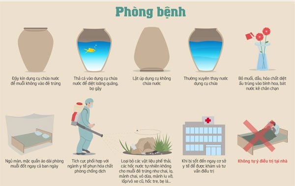 Cách phòng bệnh sốt xuất huyết